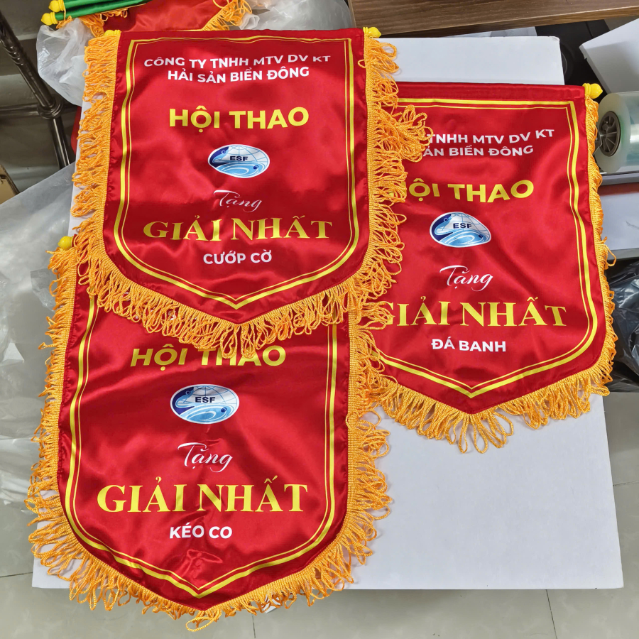 CỜ VINH DANH HỘI THAO ĐÁ BANH