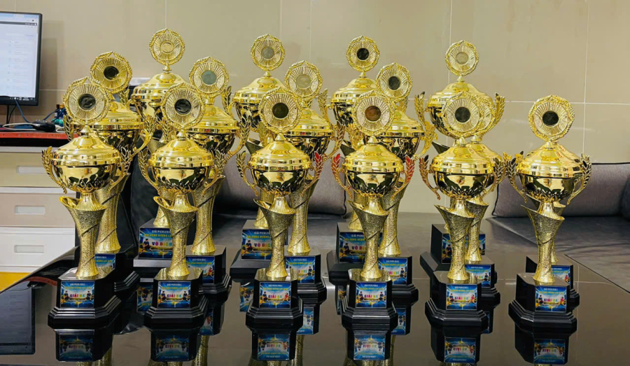 CUP GIẢI ĐẤU PICKLEBALL
