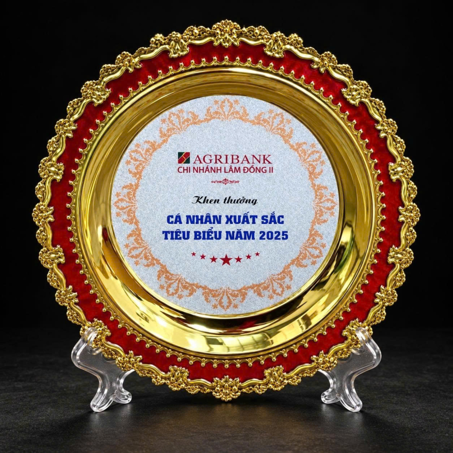 CUP HÌNH ĐĨA TRAO GIẢI