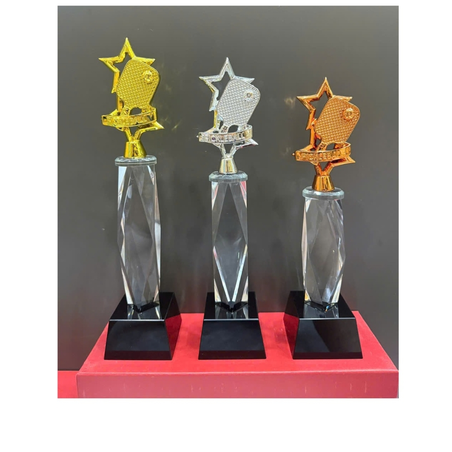 CUP KIM LOẠI - CUP PICKLE BALL