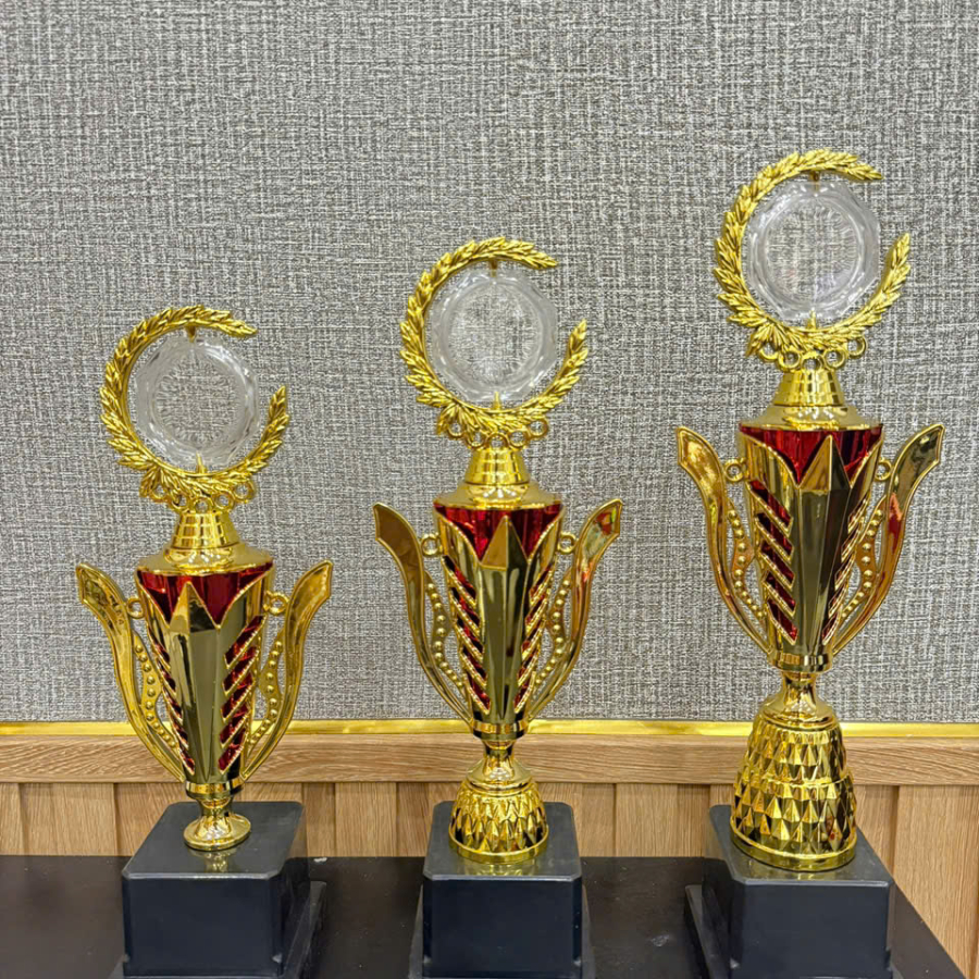 CUP KIM LOẠI - KHEN THƯỞNG 