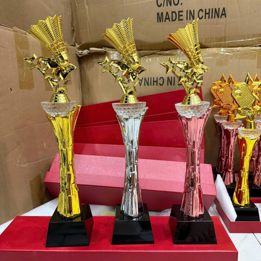 CÚP PICKLEBALL PHA LÊ KIM LOẠI