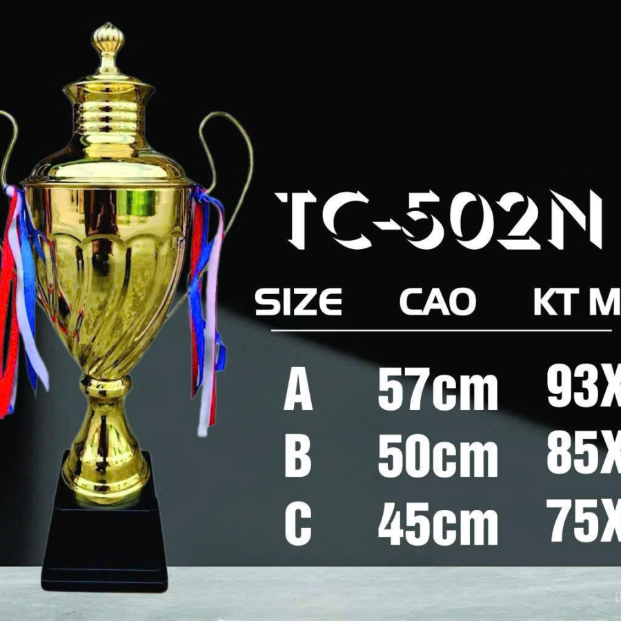 CÚP KIM LOẠI THỂ THAO 065