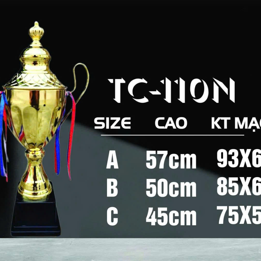 CÚP KIM LOẠI THỂ THAO 066