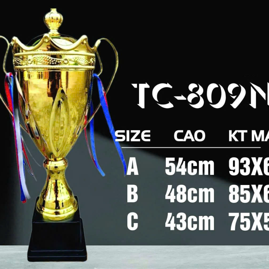 CÚP KIM LOẠI THỂ THAO 067