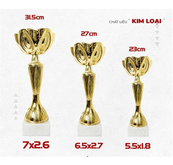 CUP KIM LOẠI - VINH DANH 