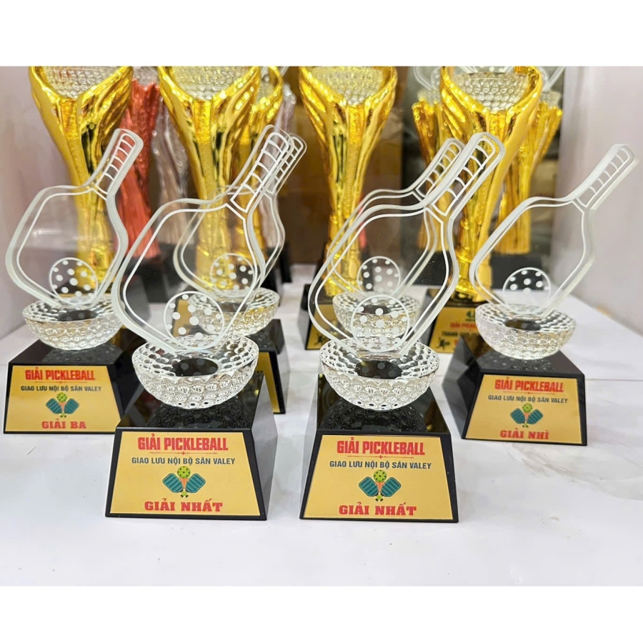 CUP PHA LÊ - CÚP THỂ THAO PICKLEBALL 