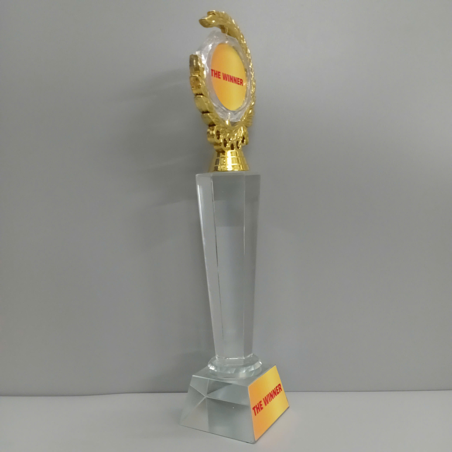 CUP PHA LÊ VÔ ĐỊCH