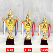 CUP TRAO GIẢI