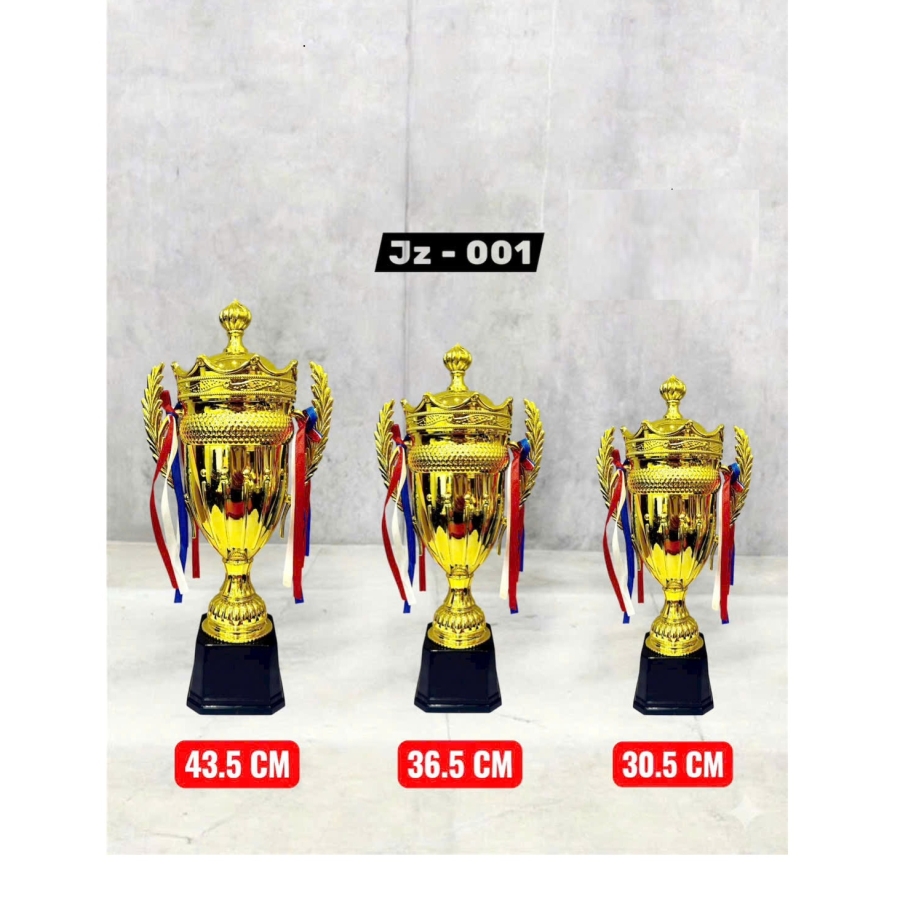 CUP TRAO GIẢI ĐÁ BANH
