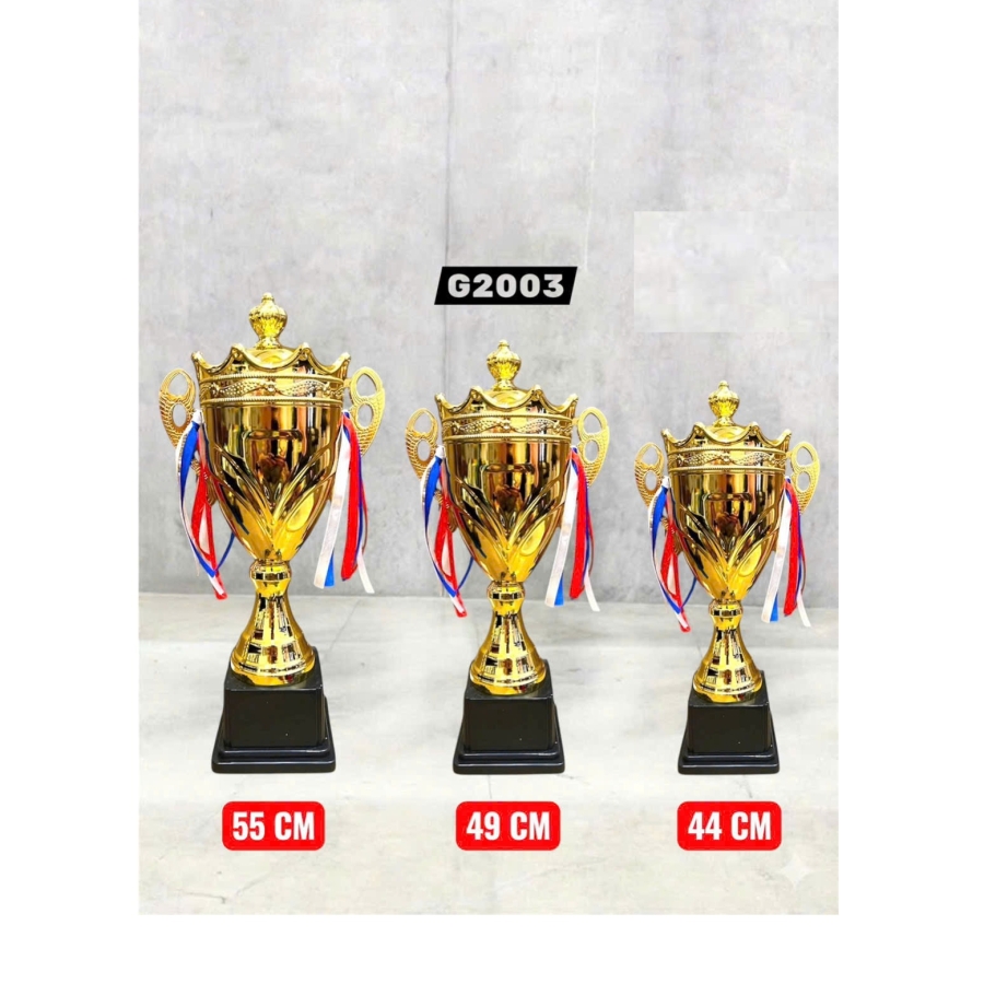 CUP TRAO THƯỞNG ĐẸP