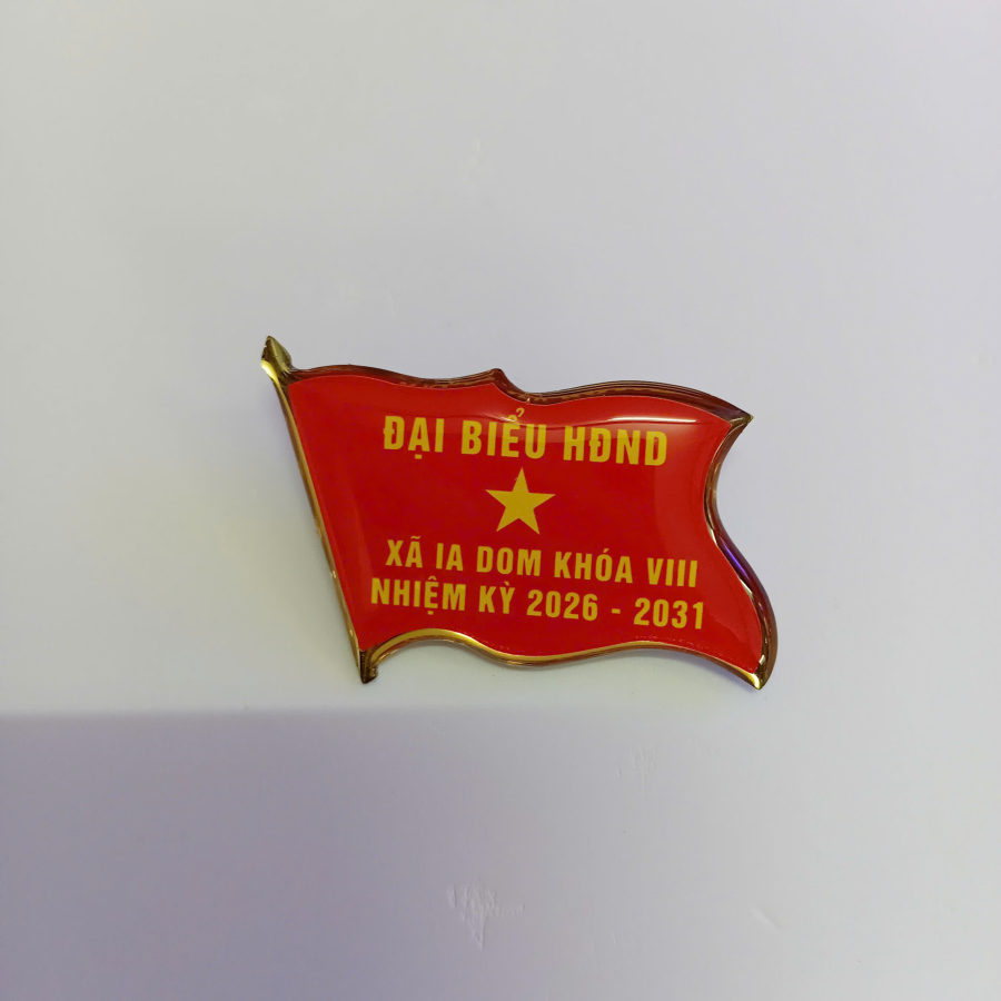 Huy hiệu cài áo - Đại biểu HĐND