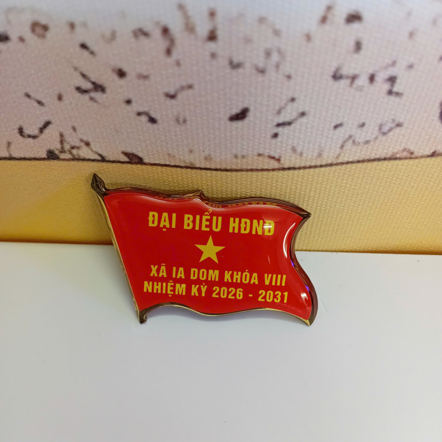 Huy hiệu cài áo - Đại biểu HĐND
