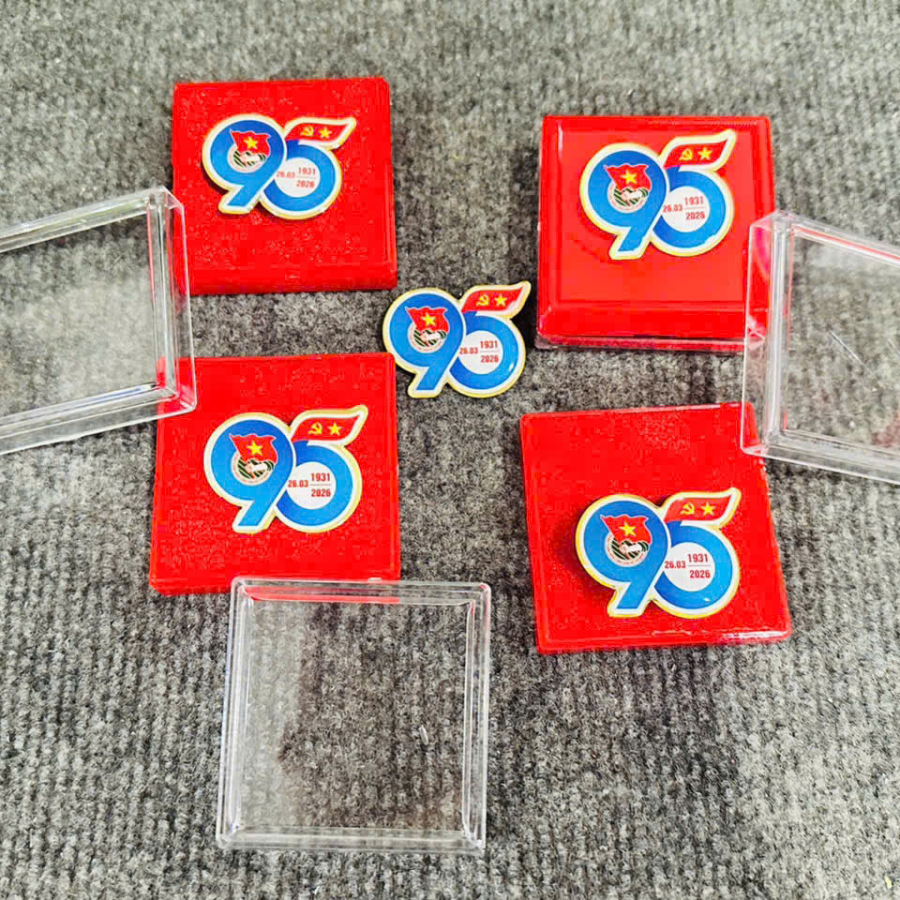 Huy hiệu kim loại phủ keo epoxy - huy hiệu Đoàn 95 năm