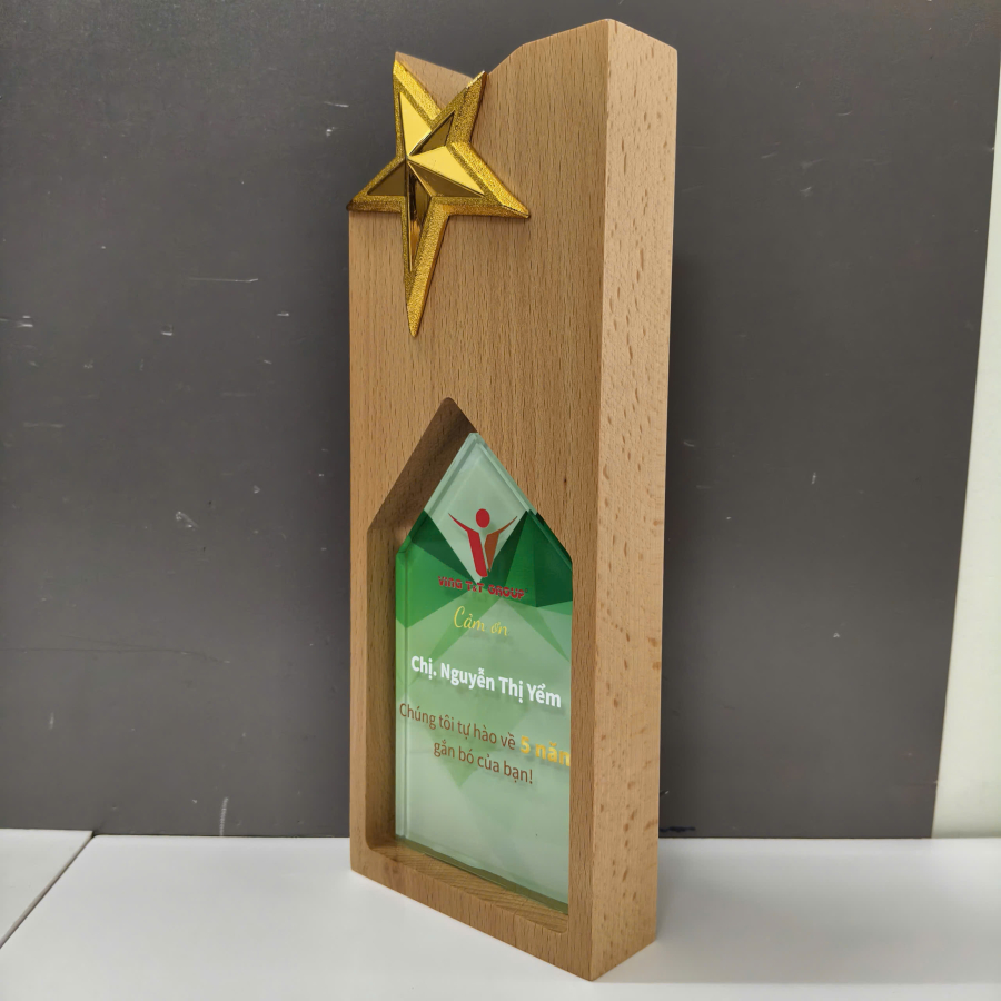 Kỷ niệm chương gỗ ngôi sao cao cấp