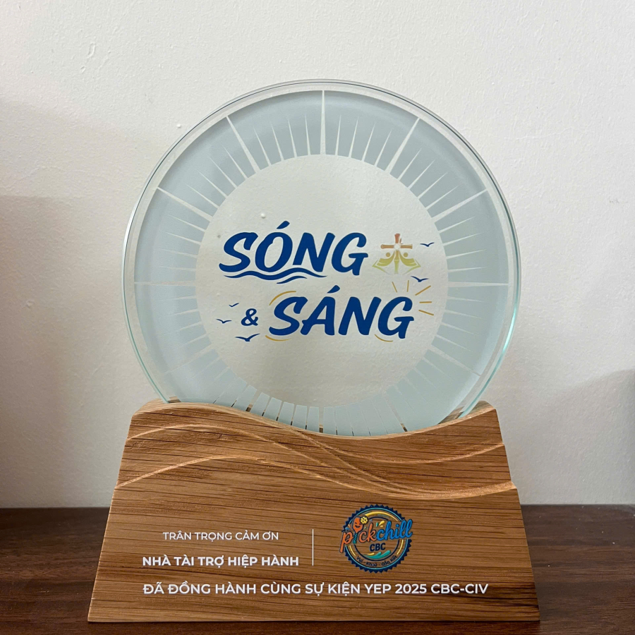 Kỷ niệm chương gổ pha lê