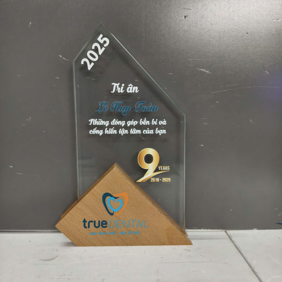 Kỷ niệm chương gỗ phối pha lê Kỷ niệm chương gỗ phối pha lê