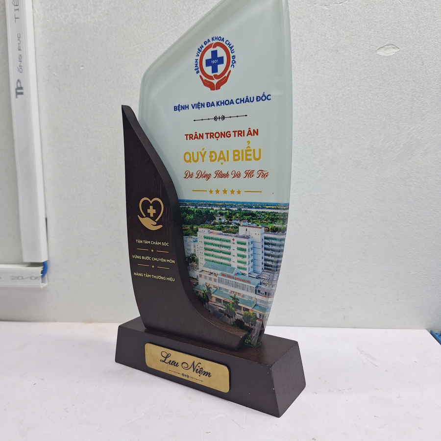 Kỷ niệm chương gỗ phối pha lê bệnh viện