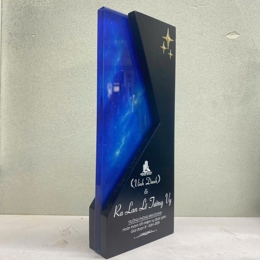 Kỷ niệm chương gỗ phối thủy tinh vinh danh cao cấp