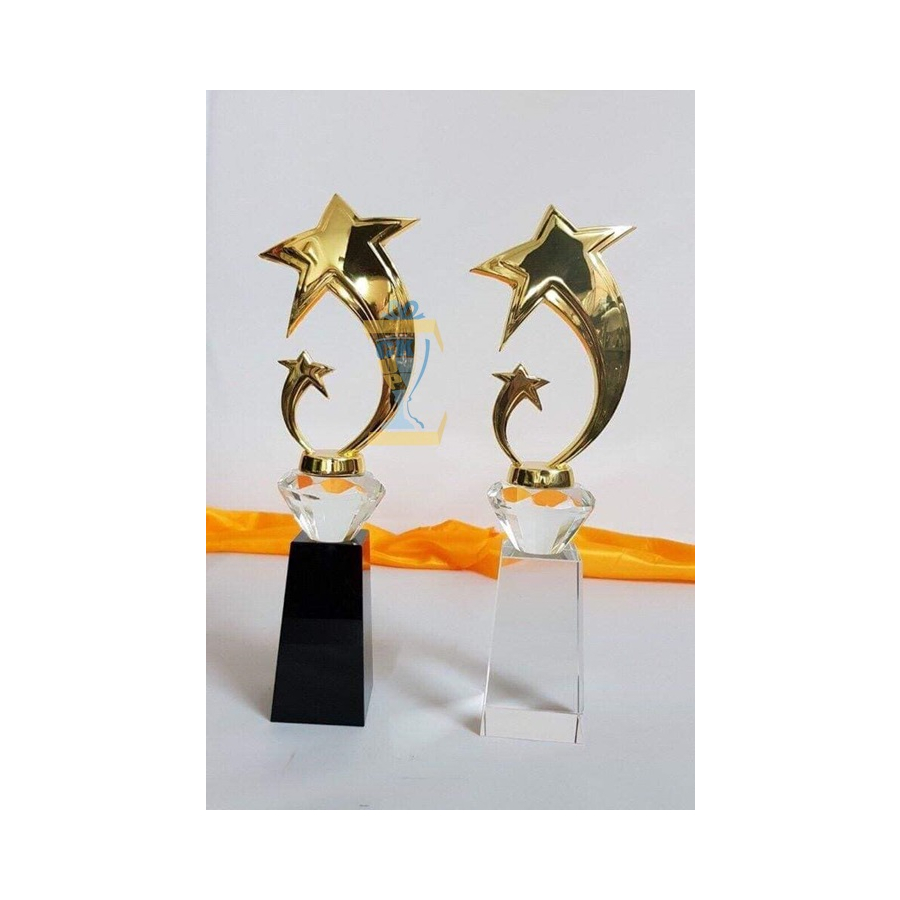 KỶ NIỆM CHƯƠNG PHA LÊ 02