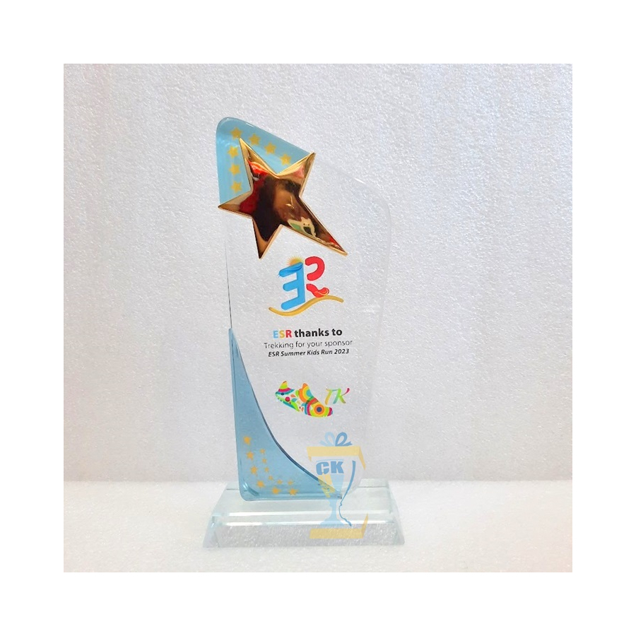 SẢN XUẤT KỶ NIỆM CHƯƠNG THỦY TINH RẺ VÀ ĐẸP