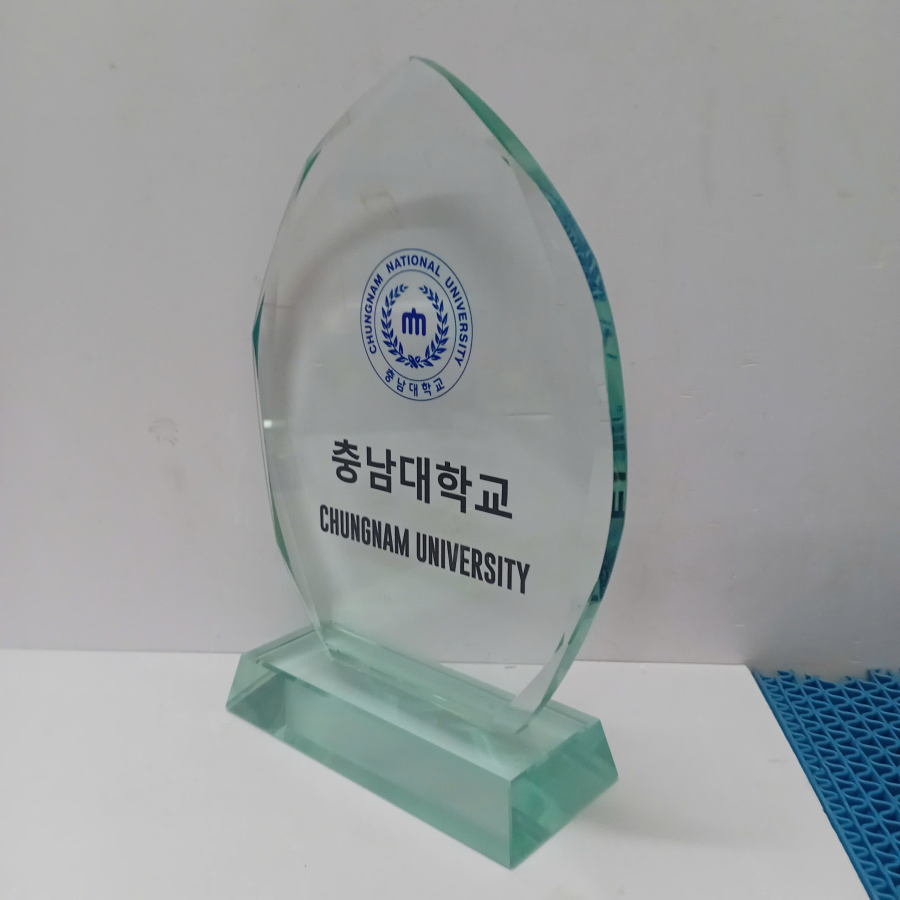 Kỷ niệm chương thủy tinh trường học                    