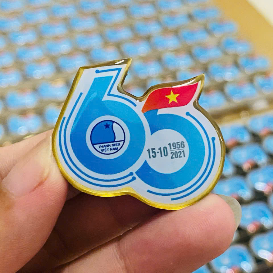 pins cài áo - logo cài áo - huy hiệu 65 năm