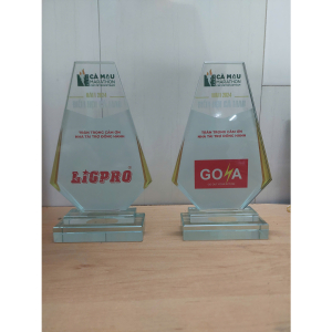 Kỷ niệm chương giải chạy bộ Camau 