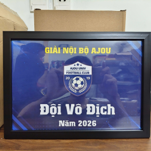 BẢNG VINH DANH BÓNG ĐÁ THEO YÊU CẦU