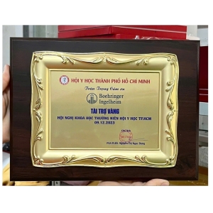 BẢNG VINH DANH KHUNG GỖ CAO CẤP - VINH DANH NHÀ TÀI TRỢ 