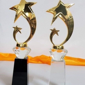 Bí Quyết Chọn Mua Kỷ Niệm Chương – Đầu Tư Cho Sự Kiện Đặc Biệt