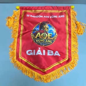 CỜ TRAO GIẢI AOE