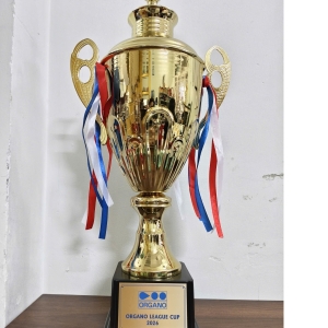 CÚP BÓNG ĐÁ VINH DANH