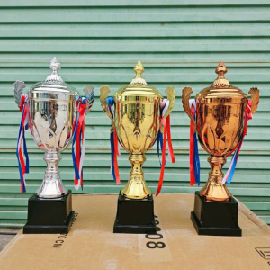 CUP GIẢI ĐẤU THỂ THAO