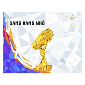 CÚP BÓNG ĐÁ