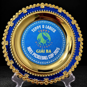 CUP HÌNH ĐĨA TRAO GIẢI