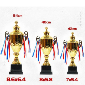 CUP KIM LOẠI - BÓNG ĐÁ 