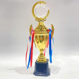 CUP KIM LOẠI - CUP BÓNG ĐÁ, VINH DANH