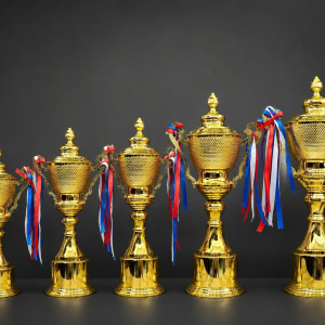 CUP KIM LOẠI - CUP BÓNG ĐÁ, VINH DANH
