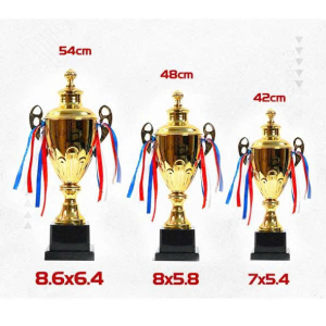 CUP KIM LOẠI - CÚP BÓNG ĐÁ VINH DANH