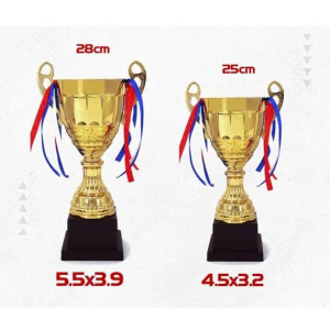 CUP KIM LOẠI - CÚP BÓNG ĐÁ VINH DANH, KHEN TẶNG