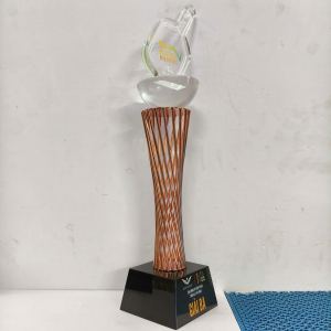 CUP KIM LOẠI - CUP PICKLE BALL ĐẸP