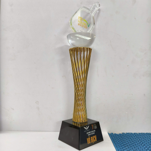 CUP KIM LOẠI - CUP PICKLE BALL ĐẸP