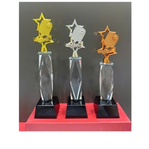 CUP KIM LOẠI - CUP PICKLE BALL