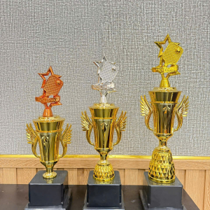 CUP KIM LOẠI - CÚP THỂ THAO KHEN THƯỞNG PICKLEBALL