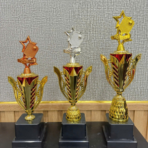 CUP KIM LOẠI - CÚP THỂ THAO PICKLEBALL 
