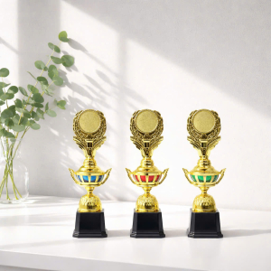 CUP KIM LOẠI - CUP VINH DANH 