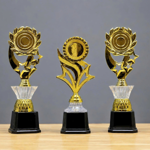 CUP KIM LOẠI - CUP VINH DANH, KHEN TẶNG