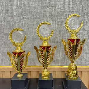CUP KIM LOẠI - KHEN THƯỞNG 