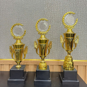 CUP KIM LOẠI - KHEN THƯỞNG ĐẸP